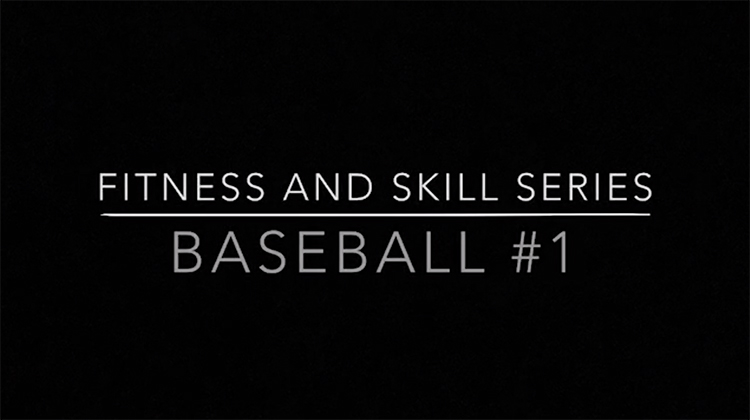 Fitness & Skills Series_Baseball1 copy.jpg