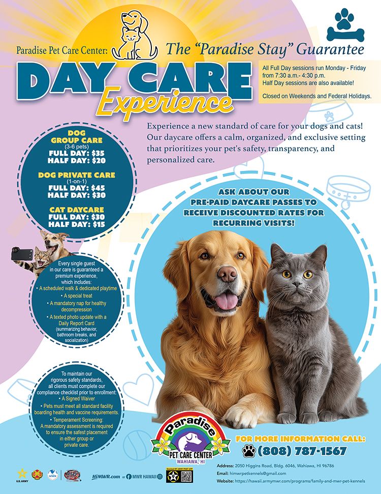 Promotional flyer for the Paradise Pet Care Center's Daycare Experience. Pricing is listed for Dog Group Care, Dog Private Care, and Cat Daycare, with full and half-day options. The 'Paradise Stay' Guarantee promises every pet a scheduled walk, special treat, mandatory nap, and a texted photo update with a daily report card. Enrollment requirements include a signed waiver, meeting health/vaccine standards, and a temperament screening. The flyer encourages asking about pre-paid daycare passes for discounted rates and provides contact information.